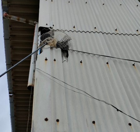 外壁　割れて穴が開いている